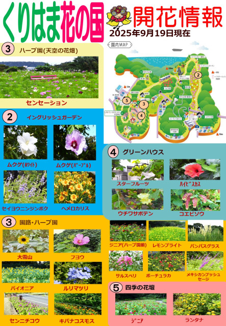 横須賀くりはま花の国・9/19～開花情報